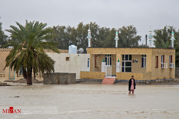 سیل در جاسک