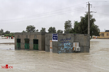 سیل در جاسک