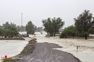 سیل در جاسک