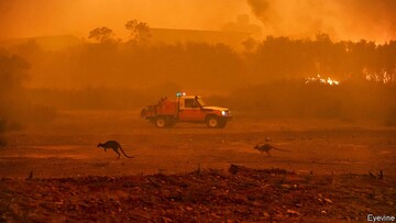 آتش‌سوزی جنگل‌ها با اقتصاد استرالیا چه کرد؟