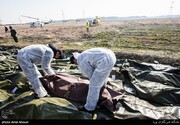 جان‌باختگان ایرانی سانحه هوایی در حکم «شهید» محسوب می‌شوند