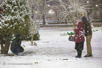 بارش شبانه برف در همدان