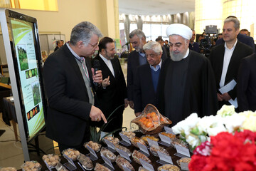 بازدید ازنمایشگاه دستاوردهای فن آورانه و توانمندی های ورزارت کشاورزی