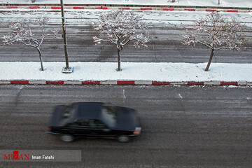 درختان یخ زده - سنندج