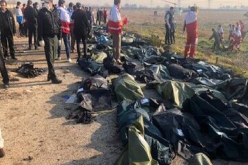 ۱۲۴تن از جانباختگان سقوط هواپیمای اوکراینی شناسایی شدند/ اسامی