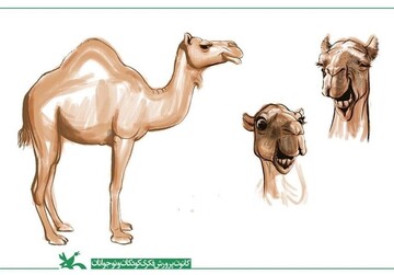 انیمیشن ایرانی درباره ورود ماشین به زندگی انسان‌ها