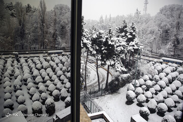 بارش برف در تهران