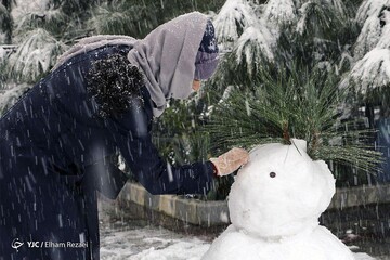 بارش برف در تهران