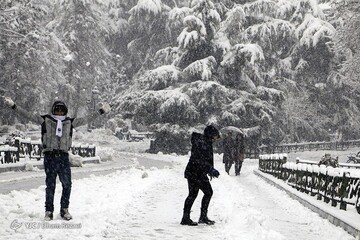بارش برف در تهران