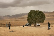 عکس | مجسمه عباس کیارستمی آماده نصب شد