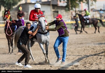 بیست و ششمین جشنواره اسب اصیل عرب - اهواز