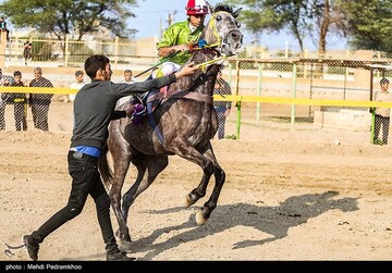 بیست و ششمین جشنواره اسب اصیل عرب - اهواز