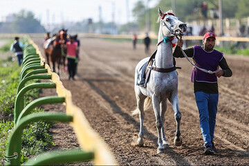 تصاویر | جشنواره اسب اصیل عرب در اهواز