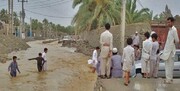 ببینید | لحظه نجات فرد پناهنده بر روی درخت در سیل سیستان و بلوچستان