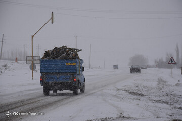 فرشتگان زمستانی