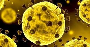 پنج چیزی که باید در مورد ویروس کرونا بدانید