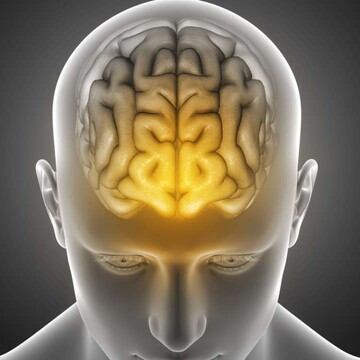 توانایی مغز در تصمیم‌گیری‌های پیچیده چگونه است؟