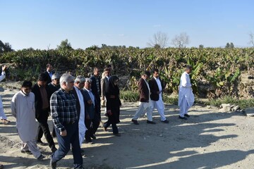 خسارات سیل به بخش کشاورزی سیستان و بلوچستان جبران می شود