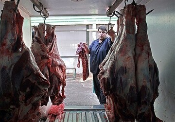 رئیس سازمان عشایر: قیمت منطقی گوشت گوسفند ۷۰ هزار تومان است