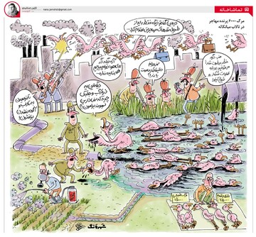 پشت پرده تلف شدن پرندگان مهاجر میانکاله را ببینید!