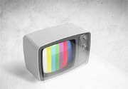 شبکه سه با «نیوجرسیِ» جواد رضویان و سیامک انصاری، خلاء سریال‌های ۹۰ شبی کمدی را پر می‌کند