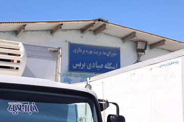 اسکله و بندر صیادی بریس