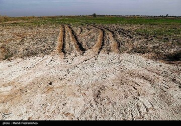 آسیب‌های محیط زیستی میدان نفتی آب تیمور در خوزستان