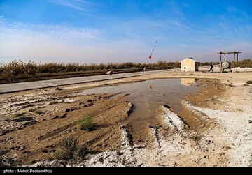 آسیب‌های محیط زیستی میدان نفتی آب تیمور در خوزستان
