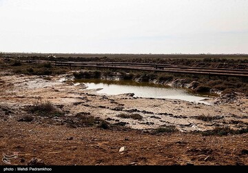 آسیب‌های محیط زیستی میدان نفتی آب تیمور در خوزستان