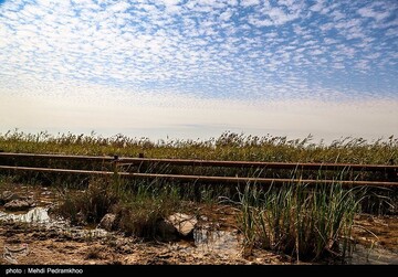 آسیب‌های محیط زیستی میدان نفتی آب تیمور در خوزستان
