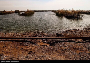 آسیب‌های محیط زیستی میدان نفتی آب تیمور در خوزستان