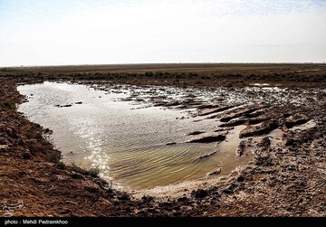 آسیب‌های محیط زیستی میدان نفتی آب تیمور در خوزستان