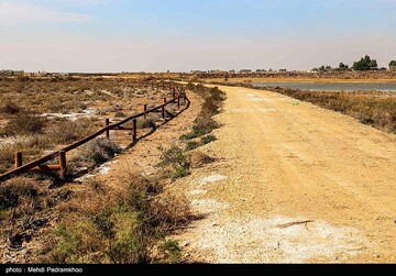 آسیب‌های محیط زیستی میدان نفتی آب تیمور در خوزستان