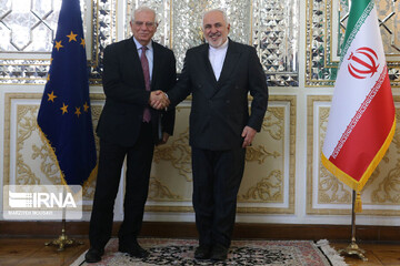 Zarif, Borrell review Iran nuclear deal