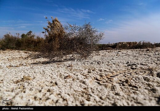 آسیب‌های محیط زیستی میدان نفتی آب تیمور در خوزستان