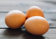مصرف روزانه تخم‌مرغ؛ خوب یا بد؟/ توضیحات مهم یک متخصص قلب