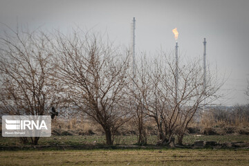 حاشینه‌نشیان جنوب تهران