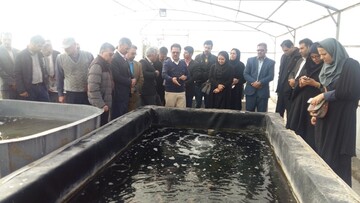  دوره آموزش پرورش ماهی تیلاپیا
