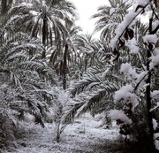 برف بغداد و کربلا را هم سفیدپوش کرد