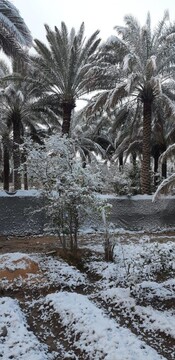 برف کربلا را هم سفیدپوش کرد