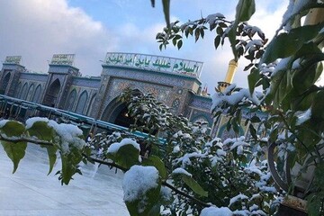 برف کربلا را هم سفیدپوش کرد
