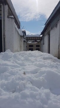 رشت اینچنین زیر برف رفت