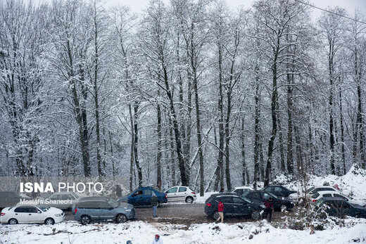 کدام استان‌ها بیشترین میزان بارش طی 24 ساعت گذشته را داشتند؟