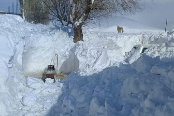 ببینید | برف دو متری خلخال را در این عکس ببینید