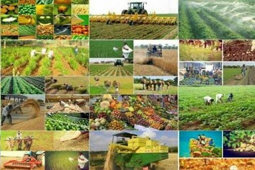 400 طرح کشاورزی شهرستان اردل  کمکهای بلاعوض وتسهیلات دریافت می کنند 