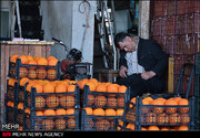 میادین میوه و تره‌بار تهران در نوروز با قیمت‌های مصوب کار می‌کنند