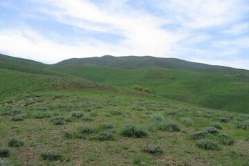 اجرای عملیات بیولوژیک مراتع در استان سمنان
