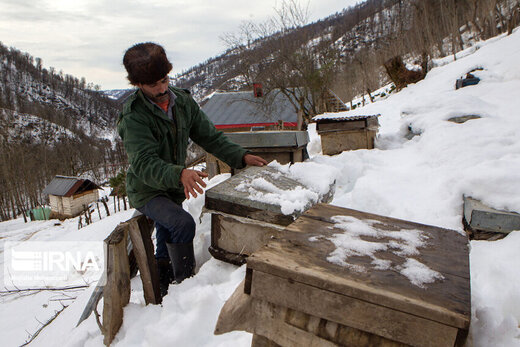 سختی‌های زندگی پس از برف در روستاهای سیاهکل‌
