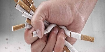 اجرای فاز دوم پاکسازی دره فرحزاد از حضور معتادان