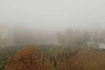 ببینید | مه شدید در ارتفاعات تهران